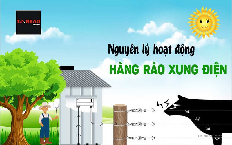 Nguyên lý hoạt động hàng rào xung điện