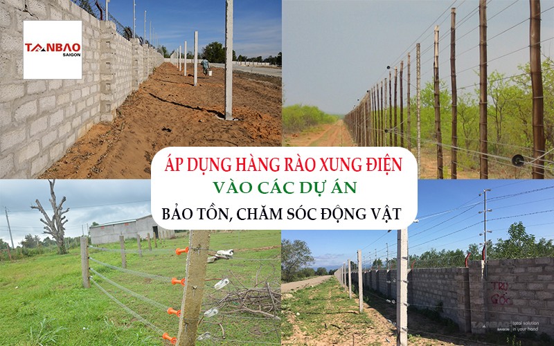 Áp dụng hàng rào xung điện vào các dự án bảo tồn, chăm sóc động vật