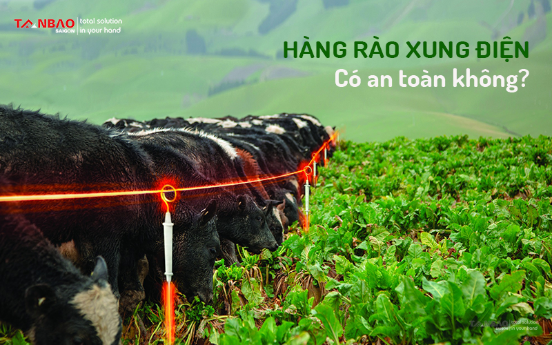 Hàng rào xung điện có đảm bảo an toàn cho người và gia súc?