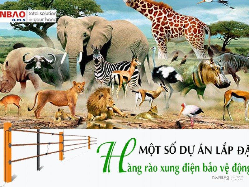 Hàng rào xung điện bảo vệ động vật 